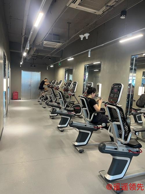 开云体育下载 沪上健身好去处又上新了！