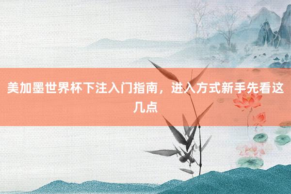 美加墨世界杯下注入门指南，进入方式新手先看这几点