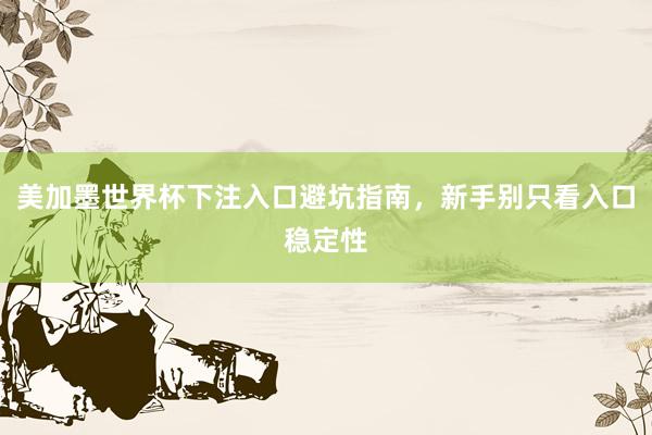 美加墨世界杯下注入口避坑指南，新手别只看入口稳定性